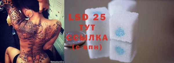 дмт Аркадак