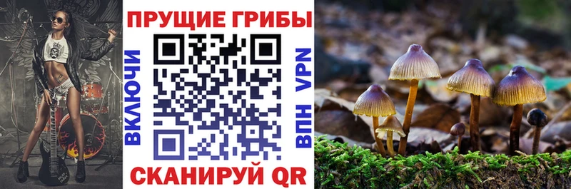 купить наркоту  Реж  Псилоцибиновые грибы Magic Shrooms 